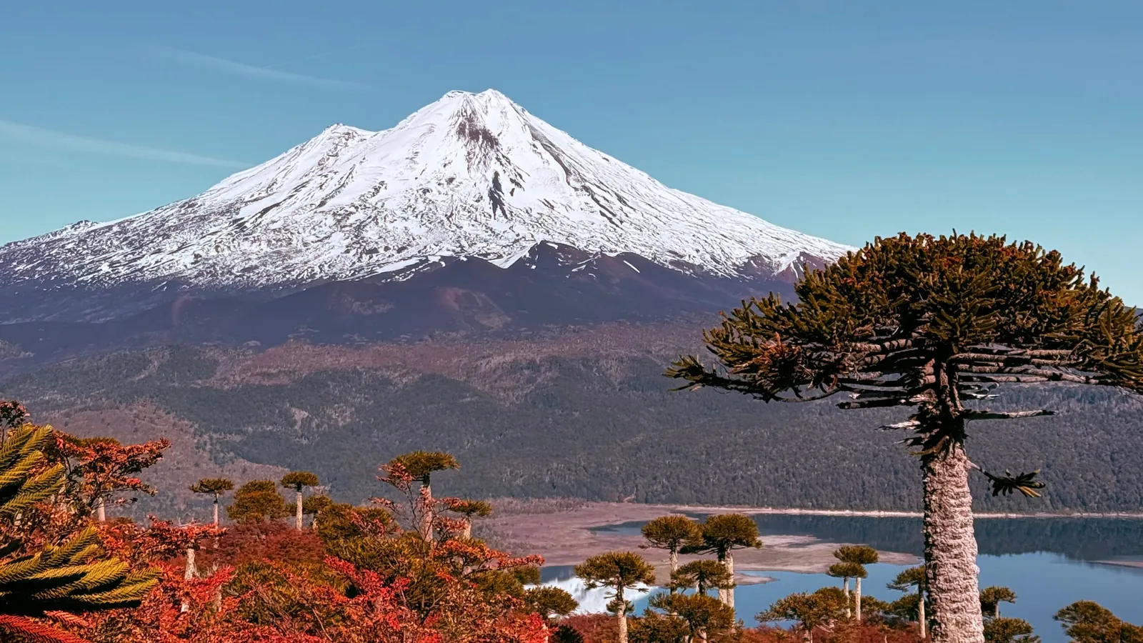 Invertir en propiedades en La Araucanía: claves para inversionistas
